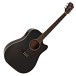 Washburn Heritage D10SCE Electro Acoustic, Black