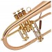 Conn Vintage 1 Flugel Horn, Lacquer