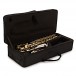 Alto Saxophone Complete Package, Nickel & Gold