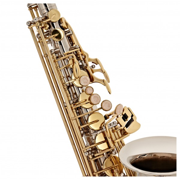 Alto Saxophone Complete Package, Nickel & Gold