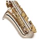 Alto Saxophone Complete Package, Nickel & Gold