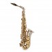 Alto Saxophone Complete Package, Nickel & Gold