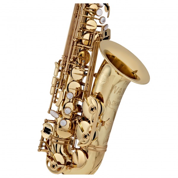Theo Wanne Shakti Alto Saxophone