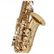 Theo Wanne Shakti Alto Saxophone