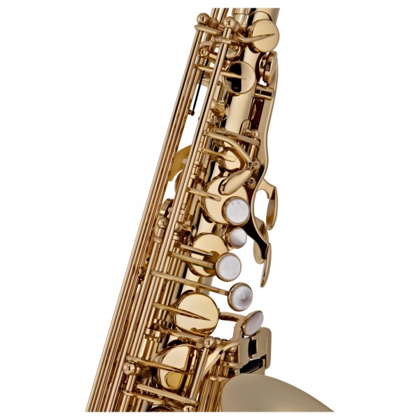 Theo Wanne Shakti Alto Saxophone