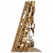 Theo Wanne Shakti Alto Saxophone