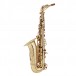 Theo Wanne Shakti Alto Saxophone