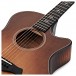 Taylor Builder's Edition 614ce Electro Acoustic, Wild Honey Burst