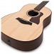 Taylor American Dream AD17e, Natural Top