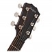 Taylor American Dream AD17e, Natural Top