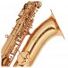 Trevor James Classic II Baritone Saxophone