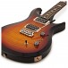 PRS S2 35th Anniversary Custom 24, Custom Colour