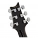 PRS S2 35th Anniversary Custom 24, Custom Colour