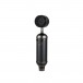 Blue Blackout Spark SL XLR Condenser Mic