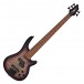 Chicago Select 5-String Bass Guitar + Amp Pack, Purple Burst