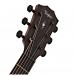 Taylor 326ce Electro Acoustic, Urban Sienna