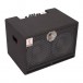 Eden Terra Nova TN2252 Bass Combo tilt 2