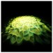 Cameo SCUBA Water Effect Light - Green