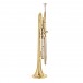 B&S Prodige Trumpet, Clear Lacquer
