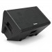 SubZero Praxis12 DSP Musicians Monitor