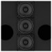 SubZero Praxis12 DSP Musicians Monitor
