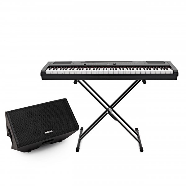 SubZero Praxis12 DSP Musicians Monitor