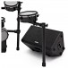 SubZero Praxis12 DSP Musicians Monitor