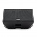 SubZero Praxis12 DSP Musicians Monitor