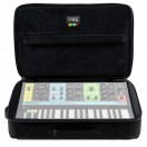 Moog SR Series Case for Grandmother