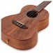 Ortega RUACA-TE Tenor Ukulele, Acacia