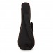 Ortega RUACA-TE Tenor Ukulele, Acacia