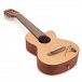 Ortega RGL5C Guitarlele, Natural