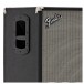 Fender Bassman 410 Neo Cabinet