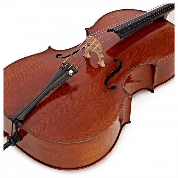 Eastman Master Cello Outfit with Gold Level Set Up