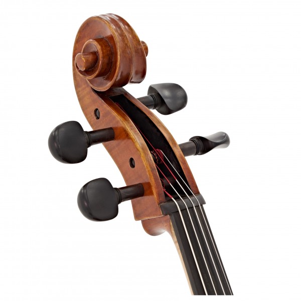 Eastman Master Cello Outfit with Gold Level Set Up