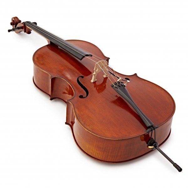 Eastman Master Cello Outfit with Gold Level Set Up