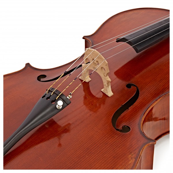 Eastman Master Cello Outfit with Gold Level Set Up
