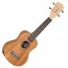 Tanglewood TW-EP1 Soprano Ukulele Pack front