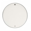 DW TomTom Head AA White Smooth 10"