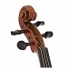GEWA Maestro 2 4/4 Violin Outfit, Advanced Carbon Bow Bio Oblong Case