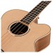 Tanglewood DBT-AB-BW Discovery Electro Acoustic Bass, Natural