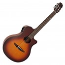 Yamaha NTX1, Brown Sunburst