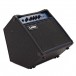 Laney RB1 Bass Combo