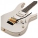 Ibanez RG5170G Prestige, Sliver Flat