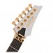 Ibanez RG5170G Prestige, Sliver Flat