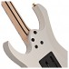 Ibanez RG5170G Prestige, Sliver Flat
