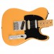 Fender Player Plus Nashville Telecaster MN, Butterscotch Blonde - Body View