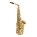 Elkhart 100AS študent alt saxofón
