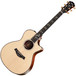 Taylor 912ce Grand Concert Electro Acoustic 1