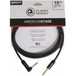 Planet Waves American Stage